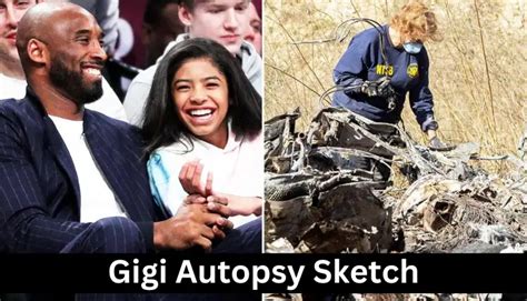 Gigi Autopsy Sketch: What the Evidence Reveals。